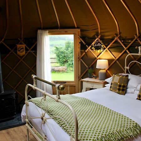 Sunbank Accommodation 兰戈伦 外观 照片